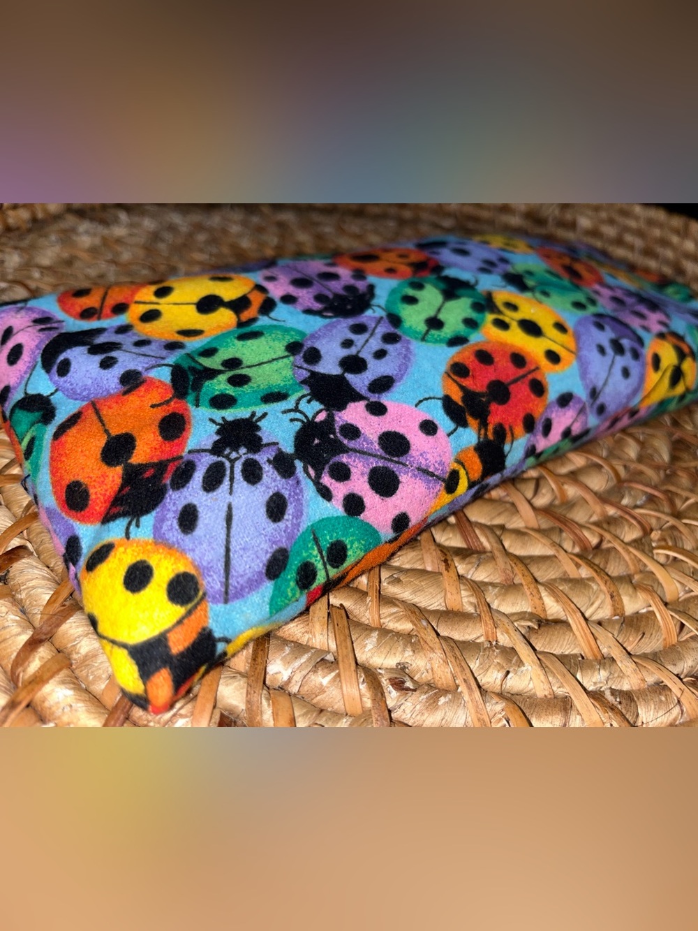 Multi-Color Ladybug Print rice body warmer large